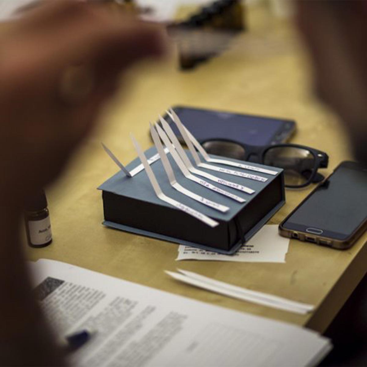 Smell Atelier concorso 2025