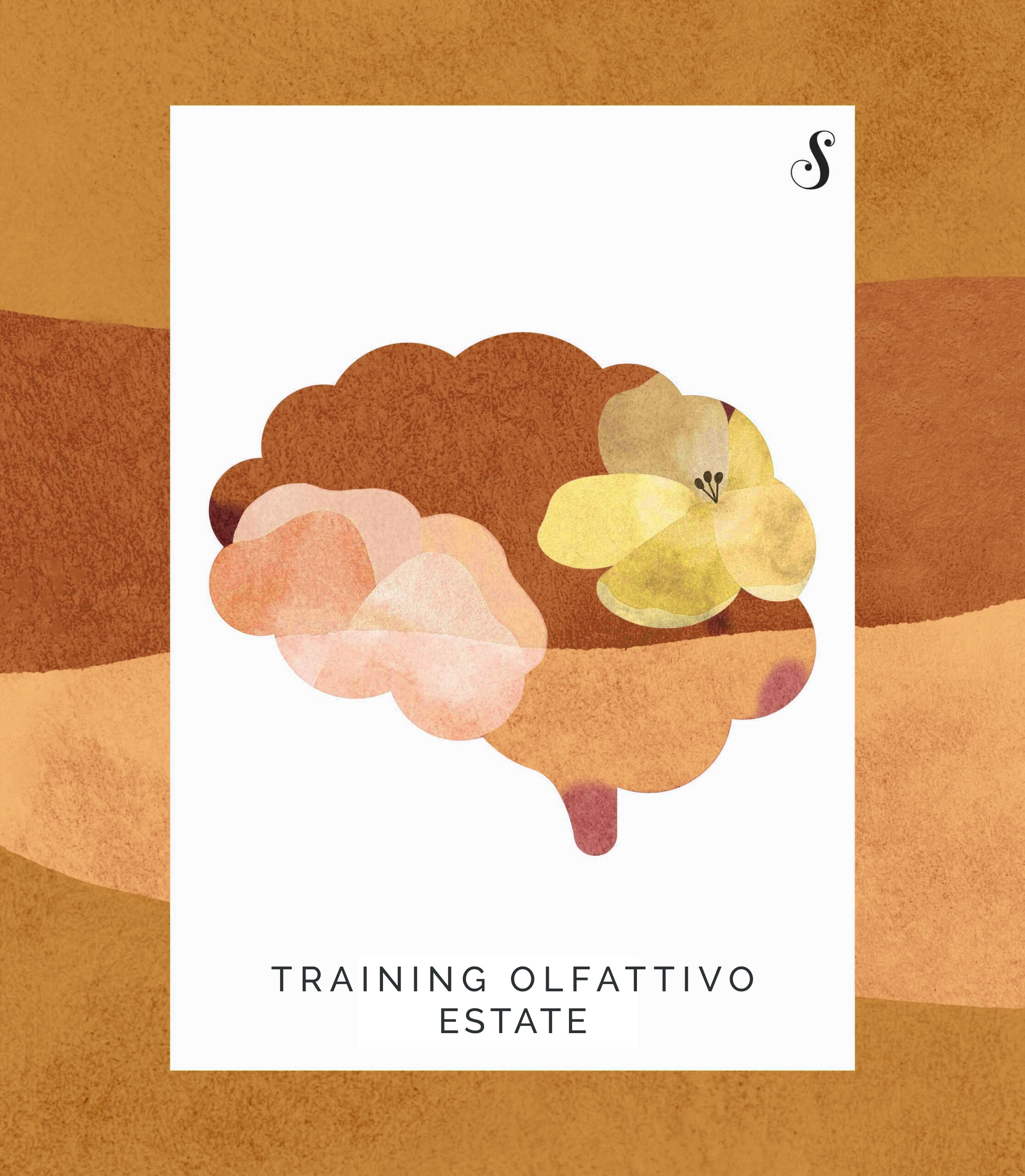 Training olfattivo – Estate