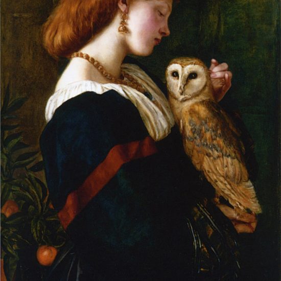 Il Barbagianni - The Owl di Valentine Cameron Prinsep