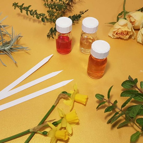 2composit-natura-smell-atelier