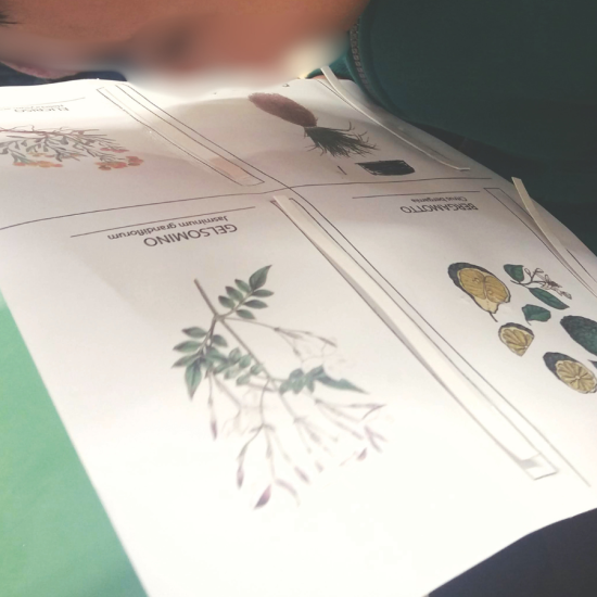 Progetto senza titolo (76)