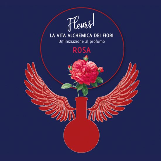 fleurs-rosa2