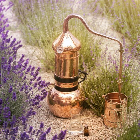 lavanda smell atelier