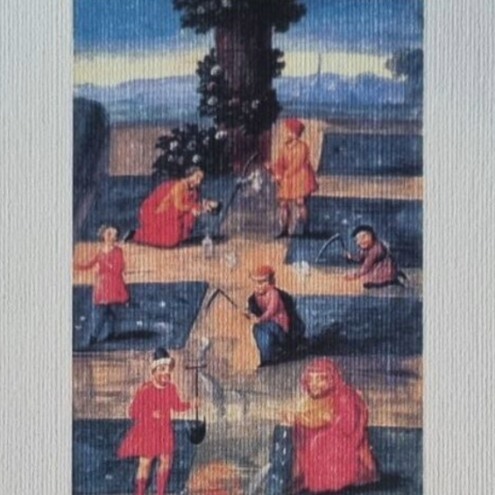 orti e piante